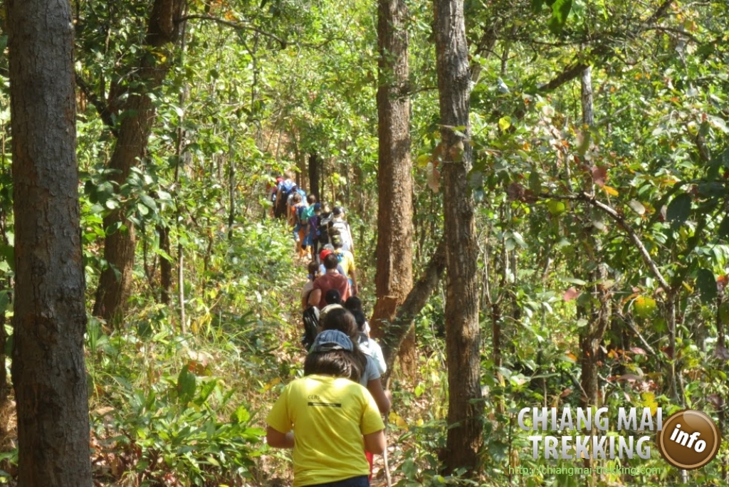 4-days/3-nights Trekking Tour | Chiang Mai Trekking | Le meilleur trekking &agrave; Chiang Mai avec Piroon Nantaya